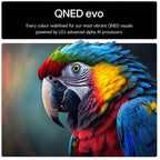 LG 65QNED85A6C 65 Inch QNED evo AI QNED85 HDR 4K Ultra HD Smart TV 2025