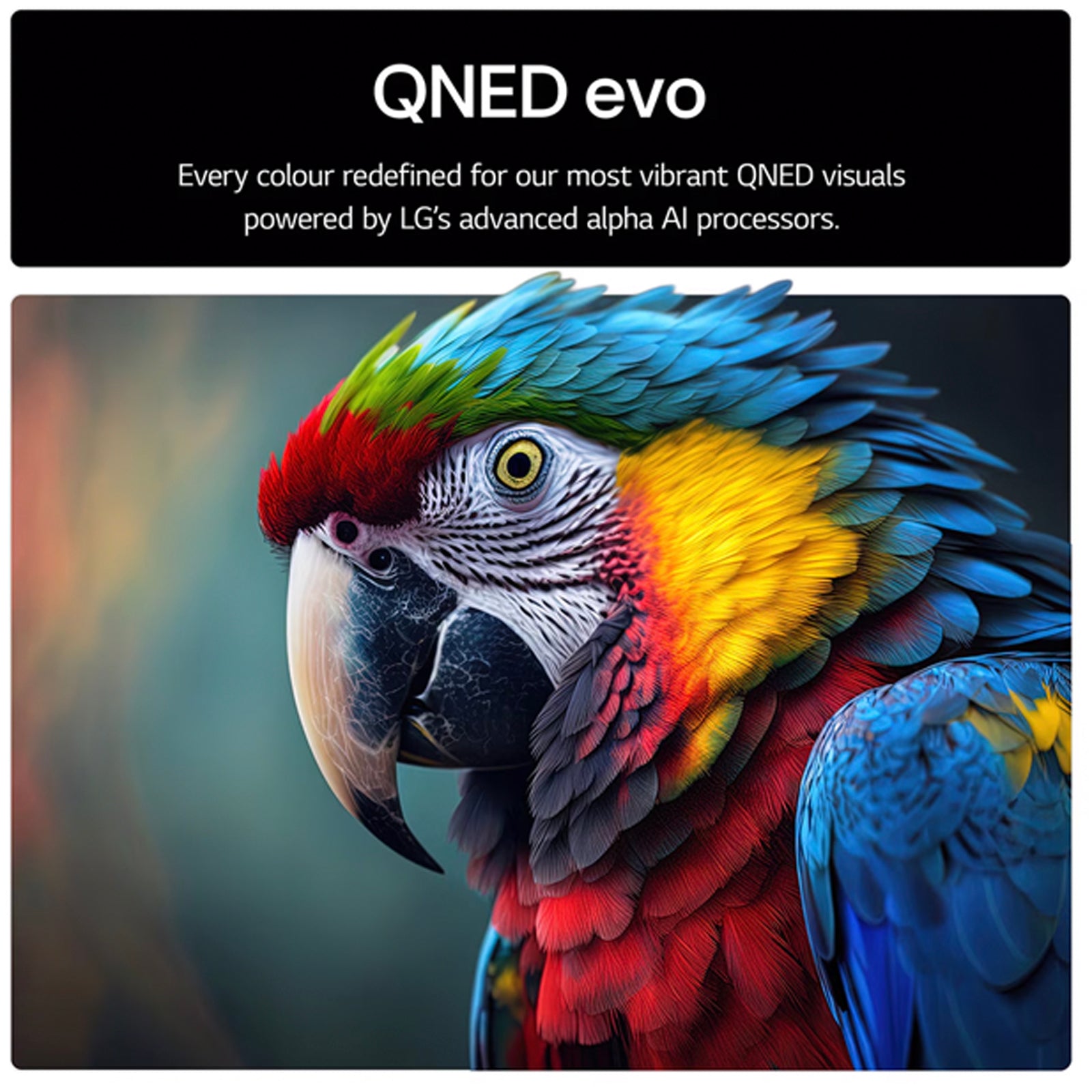 LG 65QNED85A6C 65 Inch QNED evo AI QNED85 HDR 4K Ultra HD Smart TV 2025