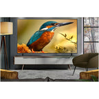 LG 86QNED85A6C 86 Inch QNED evo AI QNED85 HDR 4K Ultra HD Smart TV 2025