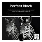 LG OLED48B56LA 48 Inch OLED AI B5 4K HDR Smart TV 2025