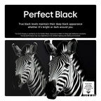 LG OLED55B56LA 55 Inch OLED AI B5 4K HDR Ultra HD Smart TV 2025