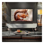 LG OLED55B56LA 55 Inch OLED AI B5 4K HDR Ultra HD Smart TV 2025