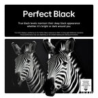 LG OLED83B56LA 83 Inch OLED AI B5 4K Ultra HD HDR Smart TV 2025